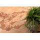 Teppich SAMPLE RIO 1800 2022-6-21 Ornament Terrakotta