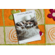 Teppich MODERN 971 Blumen, Gitter orange 