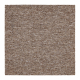 Carpet Tiles ARIZONA color 155