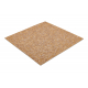 Carpet Tiles ARIZONA color 181