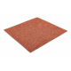 Carpet Tiles ARIZONA color 306