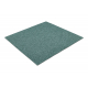 Carpet Tiles ARIZONA color 668