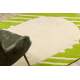 Tappeto DAISY ovale 8866 Cadre verde