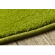 Tappeto DAISY ovale 8866 Cadre verde
