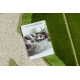 Tapis SHAGGY Q8054 D Géométrique vert - PRODUIT DE DEUXIÈME QUALITÉ