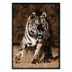 Carpet SAFARI tiger beige / black