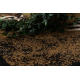 Tapis SAFARI tigre, beige / noir
