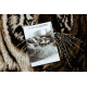 Tapijt SAFARI tijger, beige / zwart