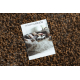 SHAGGY matto 0870 TAUPE D-280 ruskea / beige 