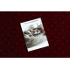 ORIENT 2958 carpet burgundy / black Frame, classic, oriental, with fringes