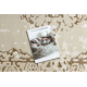 Tapis ALLURE 1961 Ornement, cadre - Structurel, élégant, glamour crème / or