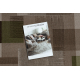 Läufer Antirutsch LISTRA Geometrisch, rutschfest beige 100cm