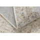 Teppich FUSION 8255 creme / beige - Vintage, modern, abstrakt