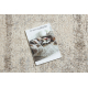 Teppich FUSION 8255 creme / beige - Vintage, modern, abstrakt