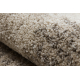 Teppich FUSION 8256 creme / beige - Rahmen, vintage, modern, abstrakt