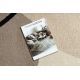 Carpet FUSION 9213 cream / beige - Geometric, modern, abstract