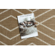 FLAT 48956265 Sisal carpet Geometric - natural beige straw color, string