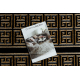Tappeto, passatoia ALLURE 1968 Chiave greca, telaio - Strutturale, elegante, glamour nero / oro 