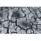Runner SILVER Terra cracked ground grey 80cm