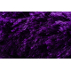 Tapis SHAGGY MONACO plaine violet