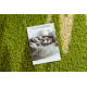 SHAGGY oval carpet 497DG green