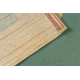 Carpet LA PAZ Geometric beige / green