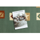 Teppich LA PAZ Geometrisch beige / grün