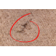 Carpet PROMO INDIE Frame blush pink - SECOND-RATE PRODUCT