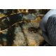 Wool carpet OMEGA ELIAN Marble iron green