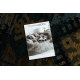 Wool carpet OMEGA AVAR Frame, diamonds, oriental - snuff brown