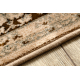 Wool carpet POLONIA KORDOBA25 Rosette, frame sepia