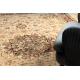 Wool carpet POLONIA KORDOBA25 Rosette, frame light ruby