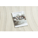 Teppich SAMPLE SWEEK 652/61 Geometrisch Creme