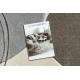 Carpet SAMPLE MILANO B7164A GEOMETRICAL CIRCLES cream / gray