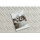 Carpet SAMPLE KOZA NOMAD A3561A ZIGZAG ZIGZAG HERRINGBONE CHEVRON cream