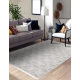Tapis SAMPLE TWEETY C3732B Géométrique blanc / gris clair franges 