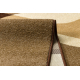 Carpet CARAMEL SEPIA brown