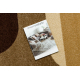 Carpet CARAMEL SEPIA brown