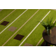 Carpet CARAMEL BAKA green