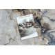 Läufer Antirutsch LOTUS SHADOWS 37550 Abstraktion beige / grau ZUM WASCHEN