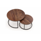 Coffee Table 2-set JAVA nut color / black