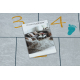 BAMBINO 43092 covor lavabil Animale, hopscotch pentru copii anti-alunecare - gri / galben