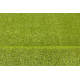 ARTIFICIAL GRASS ALVIRA roll