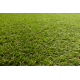 ARTIFICIAL GRASS ALVIRA roll