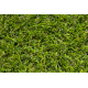 ARTIFICIAL GRASS ALVIRA roll
