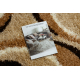 Teppich SHAGGY GUSTO BS241 beige / braun 