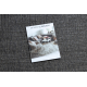 Teppe SISAL FORT 36203094 grå uniform smooth en-farge - ANDRE RATE PRODUKT
