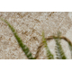 Teppich SAMPLE LOTUS 07809A Marmor creme / beige