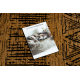 Carpet SAMPLE BONJOUR Touche 004 Aztec brown / black