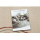 Tapijt FUSION 5707 crème / terracotta Shape - Abstractie, modern, abstract, onregelmatig